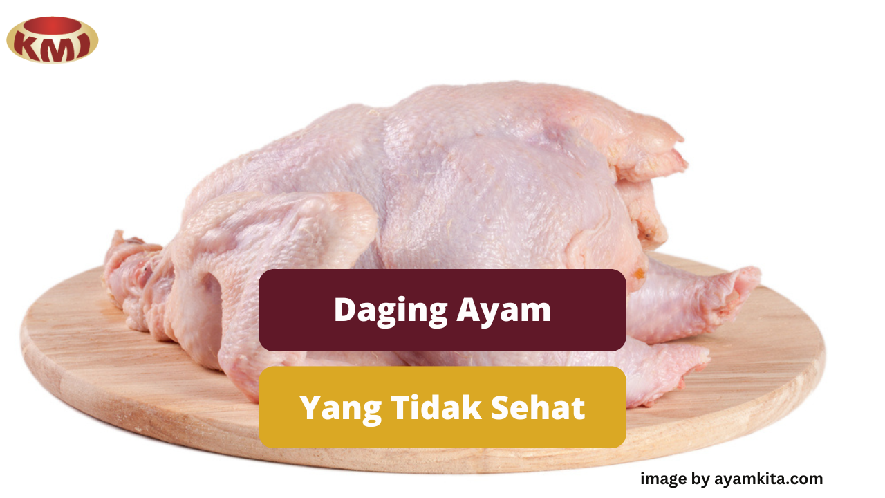 Penyebab Daging Ayam Tidak Layak Konsumsi